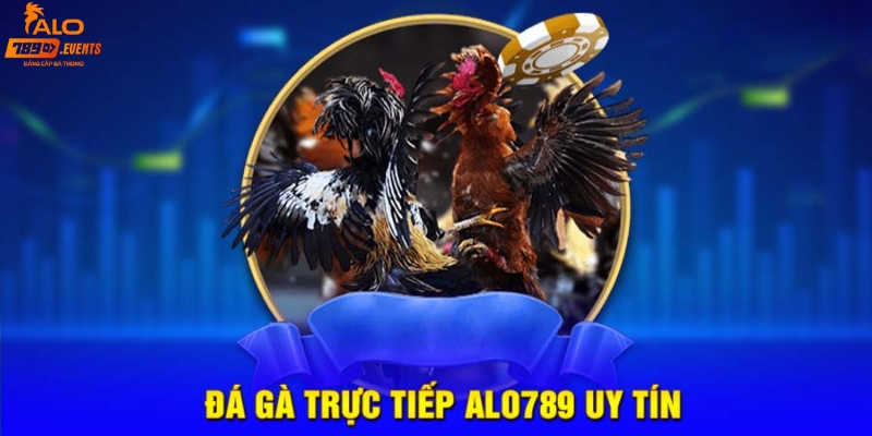 Các loại hình phổ biến tại đá gà trực tiếp Alo789