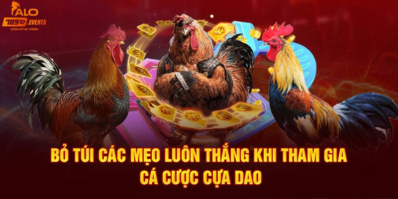 Tổng hợp mẹo đá gà cựa dao siêu hay