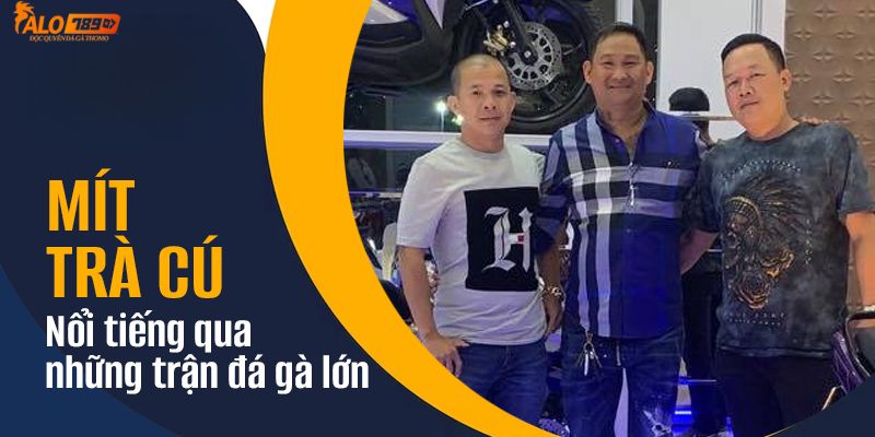 Những trận đấu gà tạo nên thương hiệu của Mít tơ Trà Cú